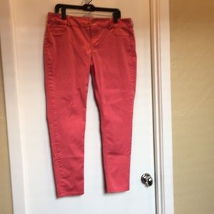 Maurices pant | size XL